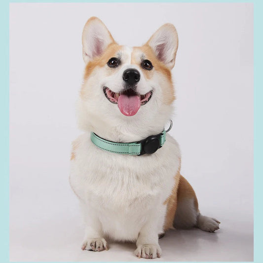 Reflecterende Halsband met AirTag-houder - DreamPawz