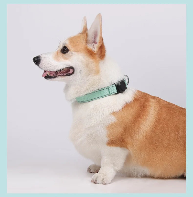 Reflecterende Halsband met AirTag-houder - DreamPawz