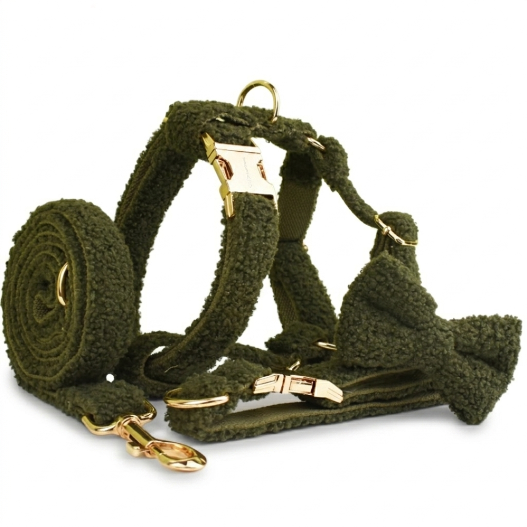 Teddy Ready - 4-Delige Set met Tuigje, Halsband, Riem en Strik - Groen