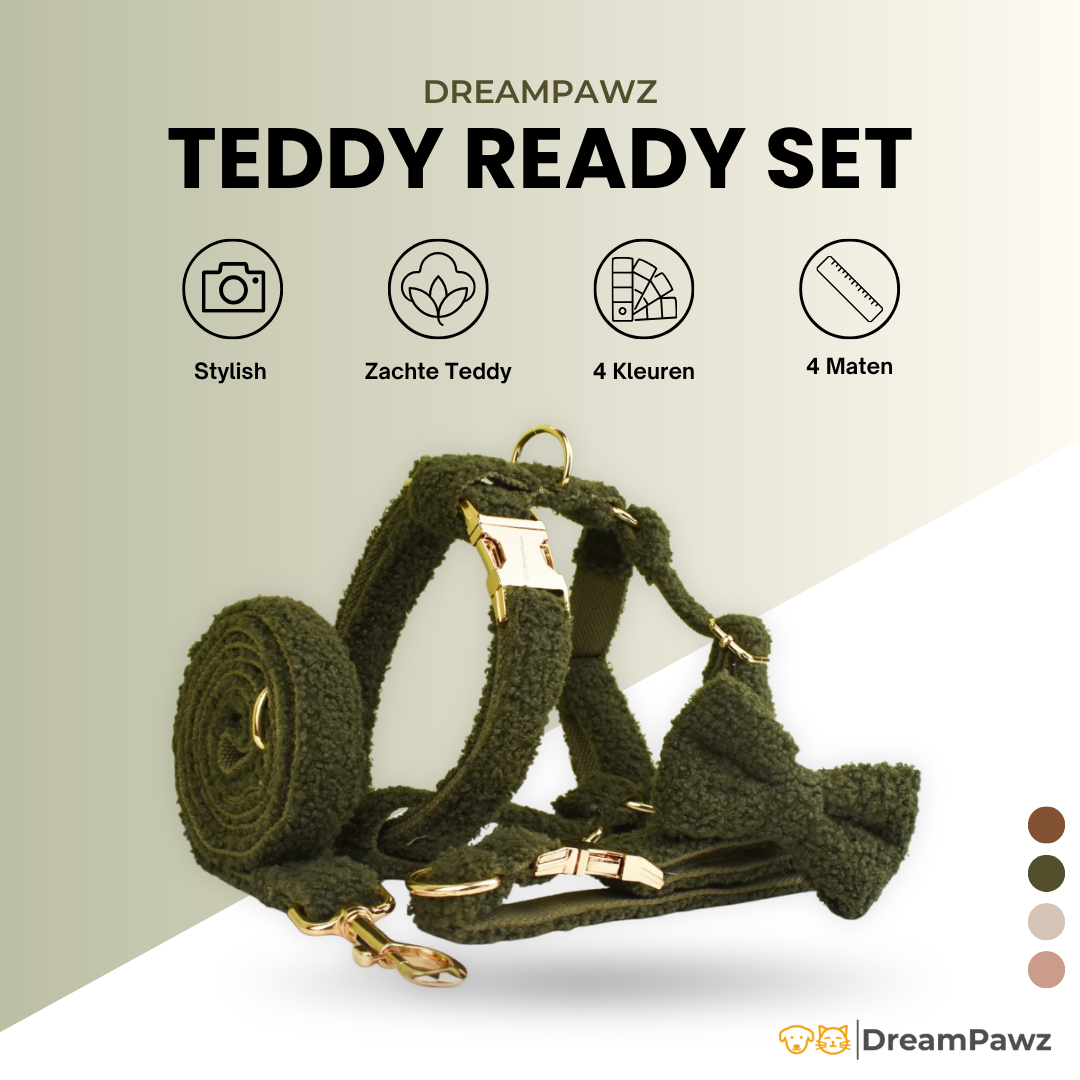 Teddy Ready - 4-Delige Set met Tuigje, Halsband, Riem en Strik - Groen