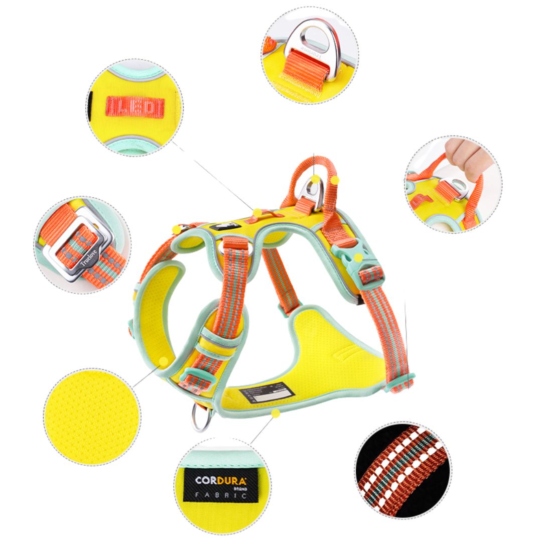 Truelove - Pastel Anti-Trek & Reflecterend Hondentuigje - Truelove