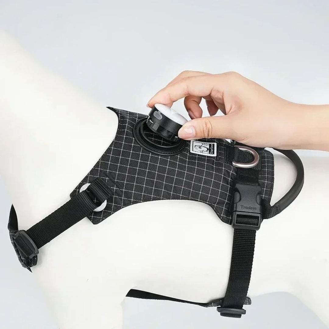Truelove - Hondentuigje met LED Verlichting