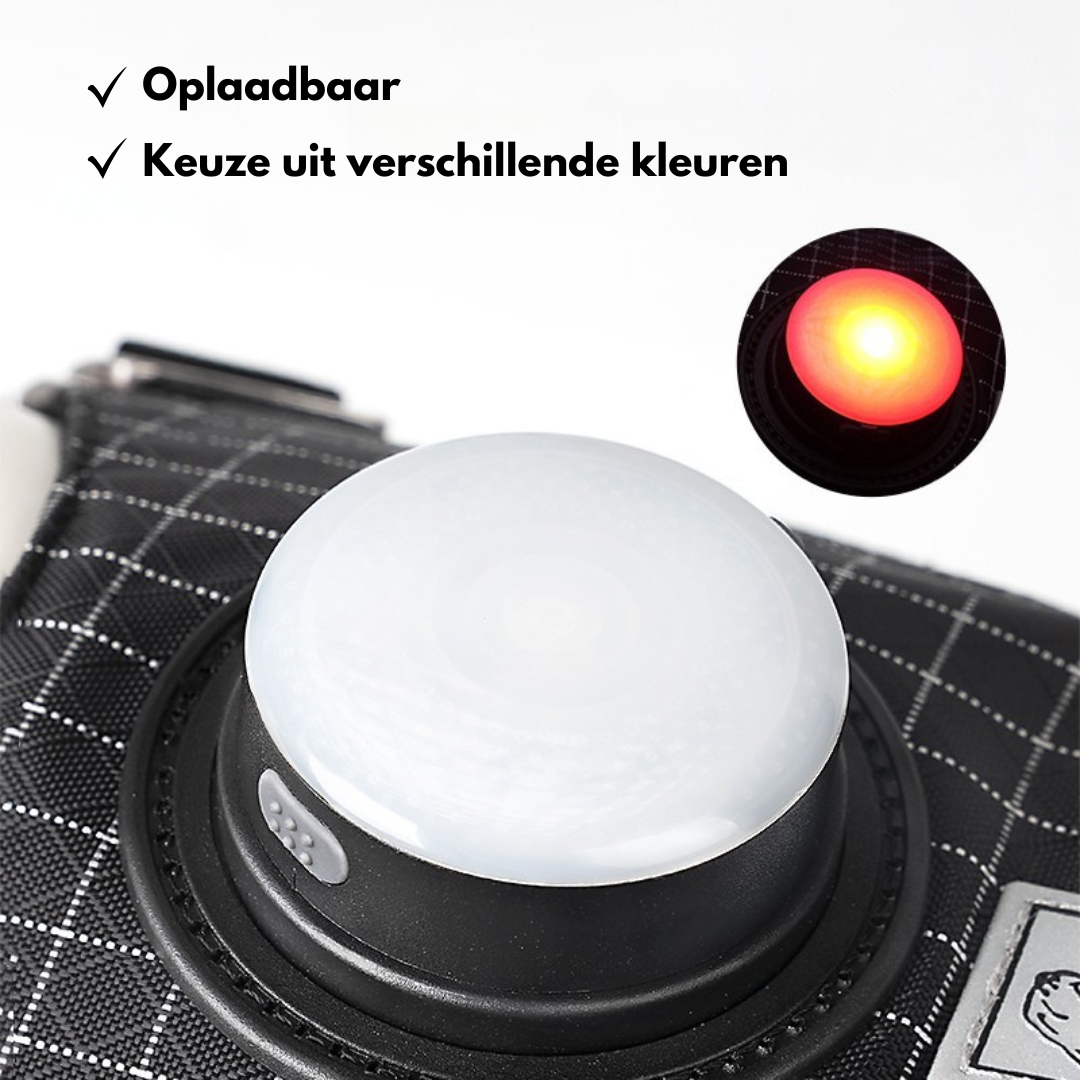 Truelove - Hondentuigje met LED Verlichting