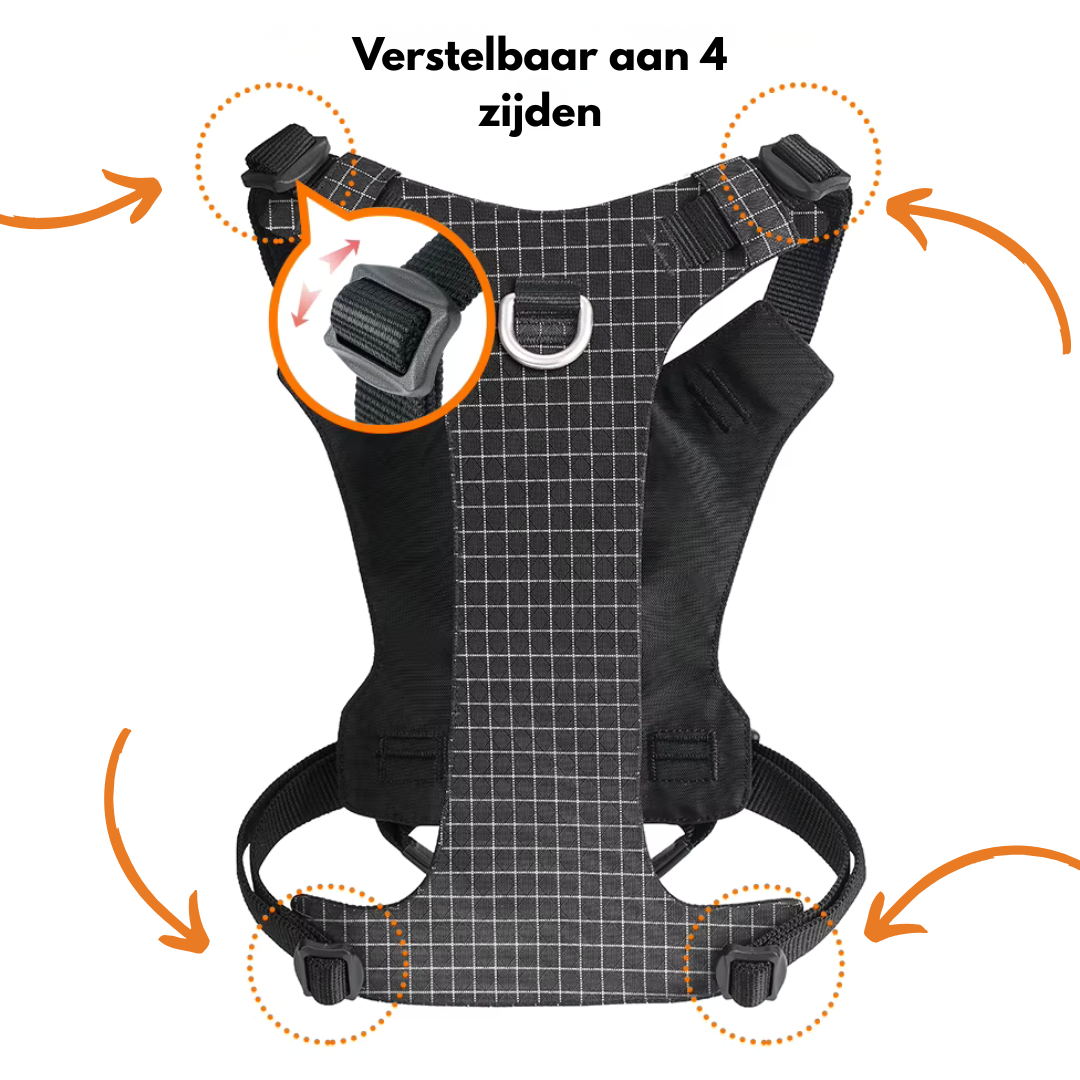 Truelove - Hondentuigje met LED Verlichting