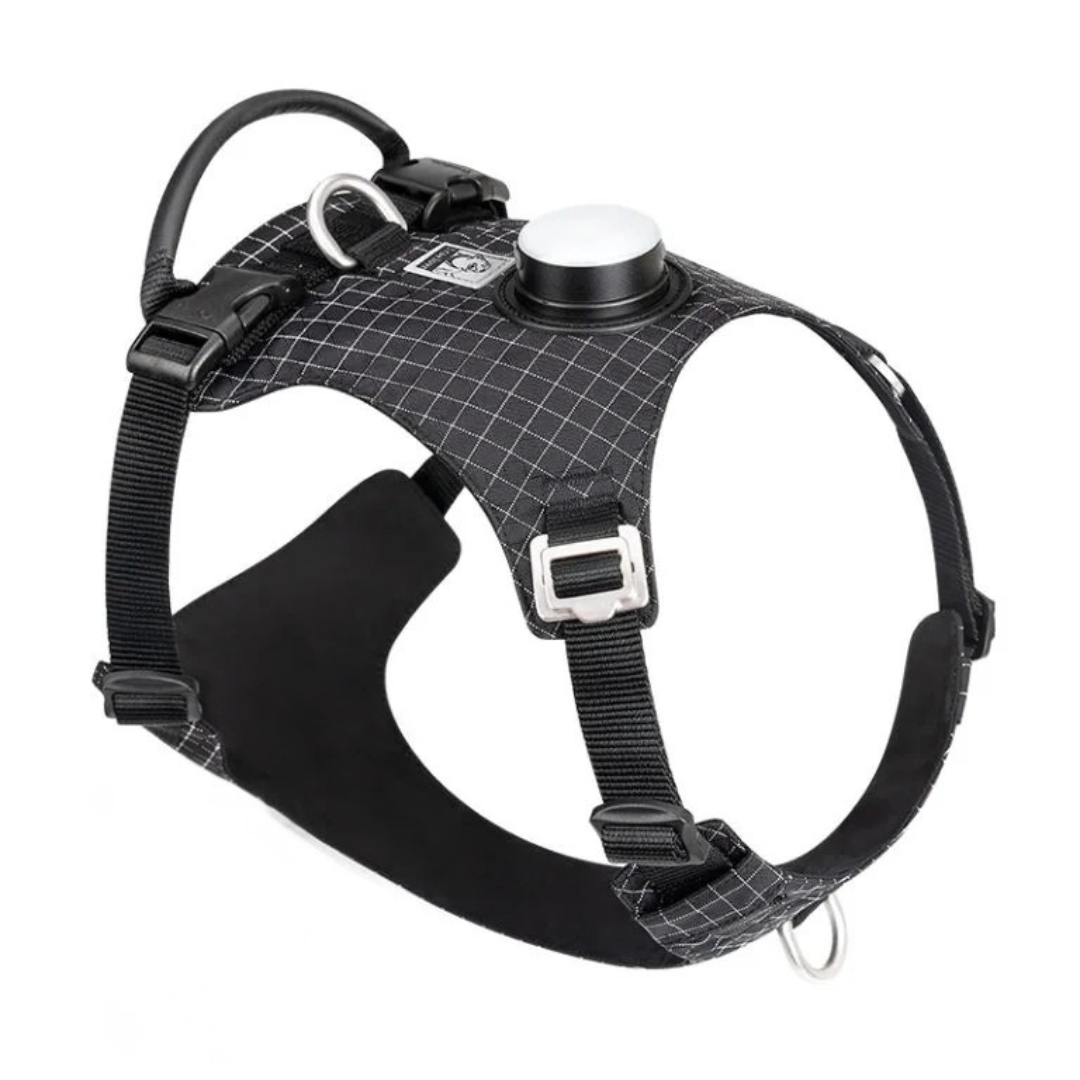 Truelove - Hondentuigje met LED Verlichting