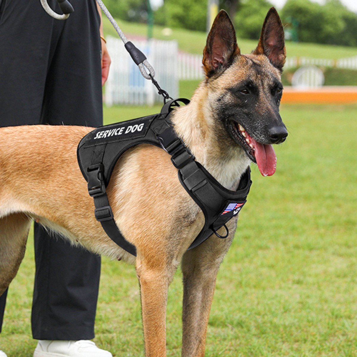 Zwart hondentuigje met 6 patches op modelhond