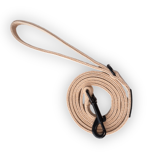 DreamPawz - 3-Delige Set van Halsband met Strik & Leiband - Visgraat - DreamPawz