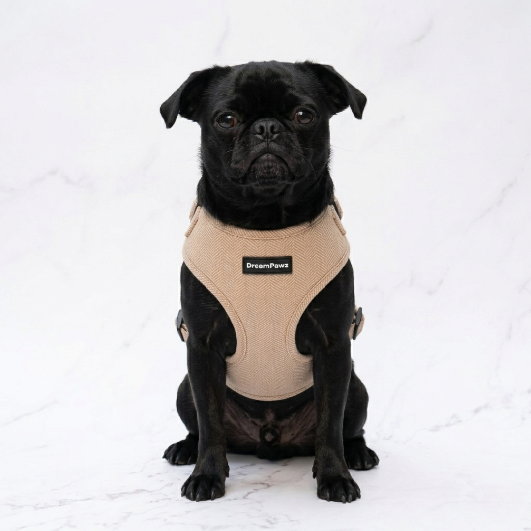 DreamPawz Beige visgraattuigje op zwarte hond
