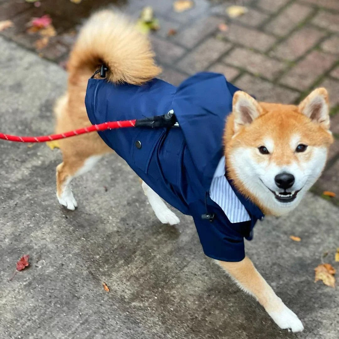 Waterdichte Regenjas met Kap voor Honden