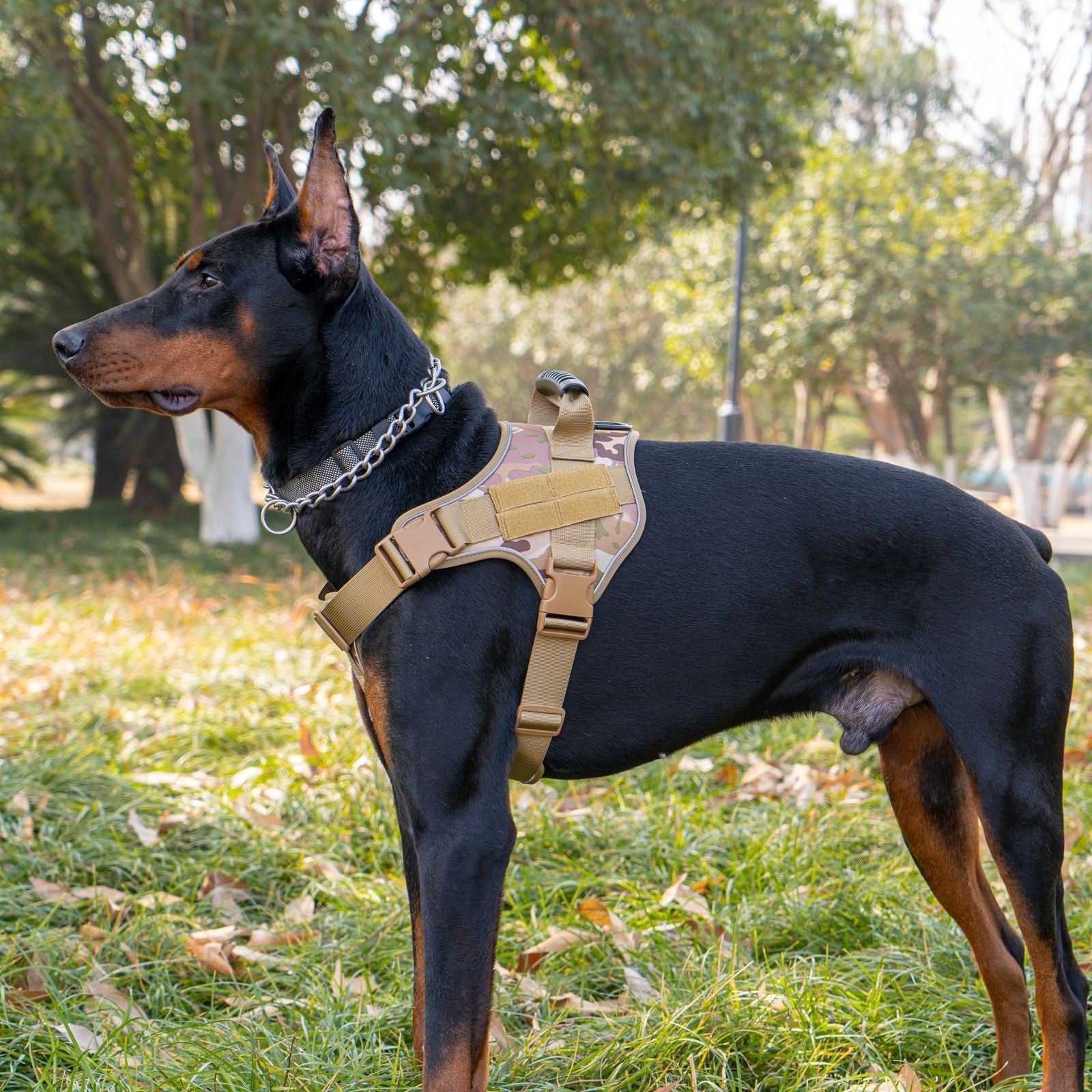 Tactical Hondentuigje - Reflecterend & Extra Controle