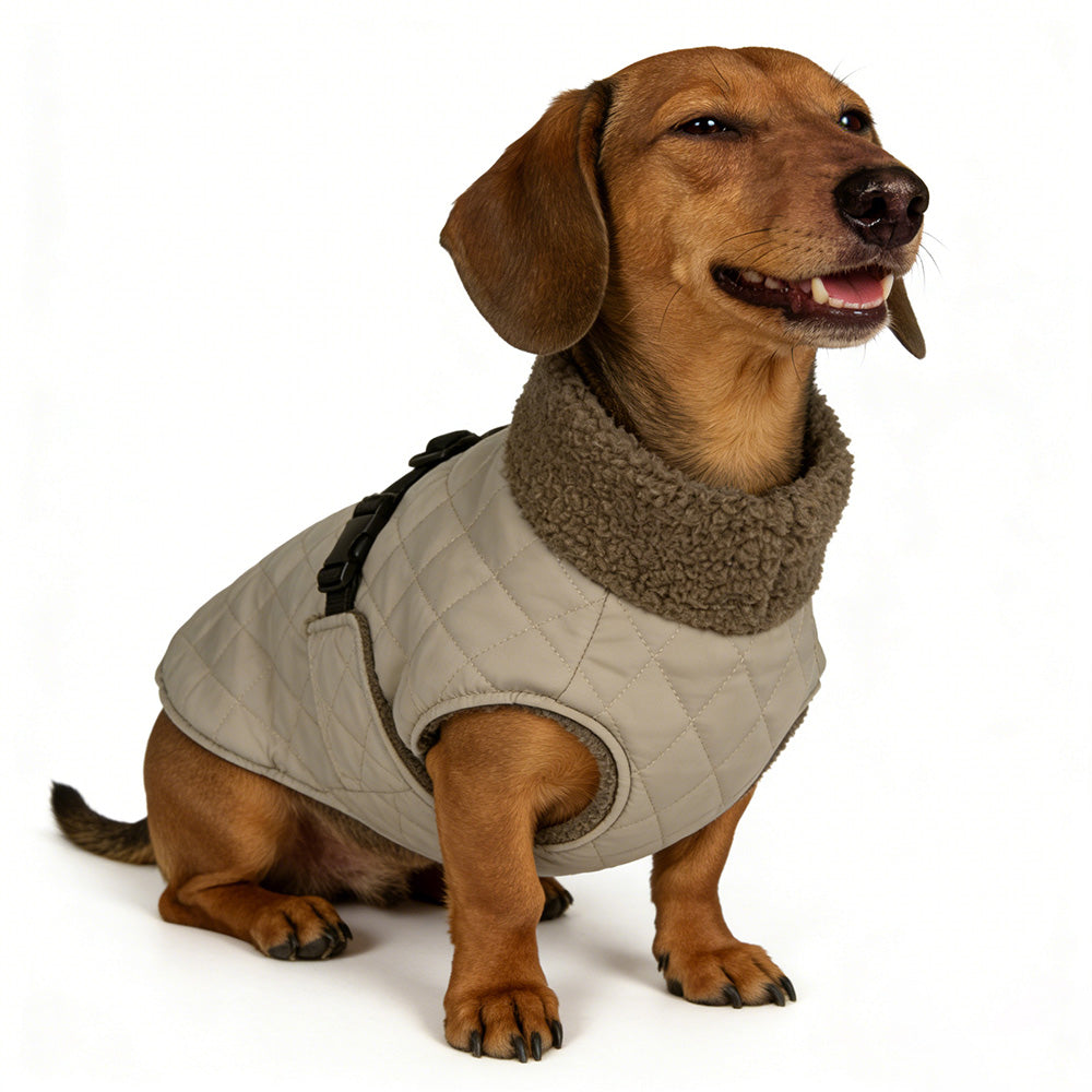 Warme Gewatteerde Hondenjas - Teddy - DreamPawz