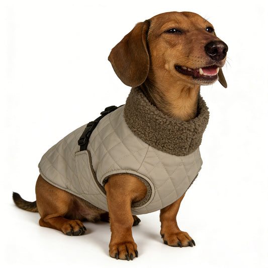 Warme Gewatteerde Hondenjas - Teddy - DreamPawz