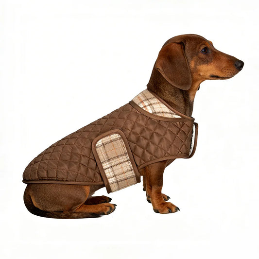 Luxe Gewatteerde Hondenjas - Quilted Chic - DreamPawz