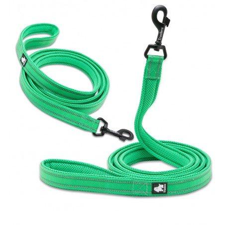 Reflecterende groene hondenriem van Truelove