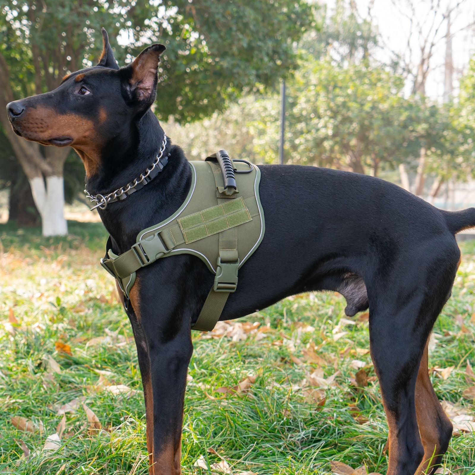 Tactical Hondentuigje - Reflecterend & Extra Controle