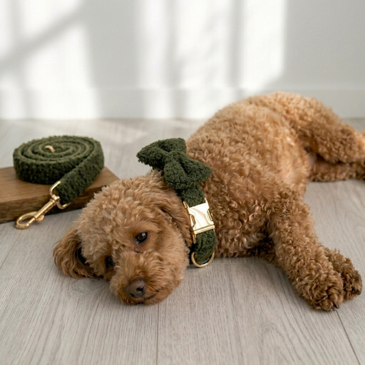 Teddy Ready - 4-Delige Set met Tuigje, Halsband, Riem en Strik - Groen - DreamPawz