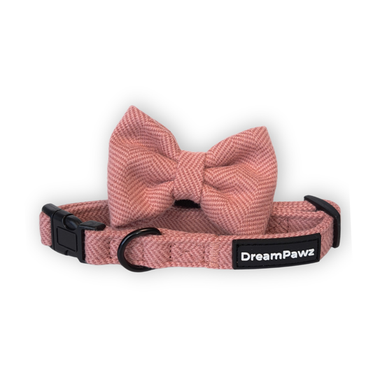 DreamPawz - 3-Delige Set van Halsband met Strik & Leiband - Visgraat - DreamPawz