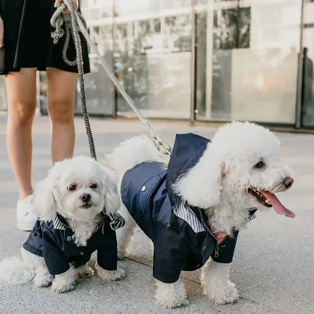 Waterdichte Regenjas met Kap voor Honden