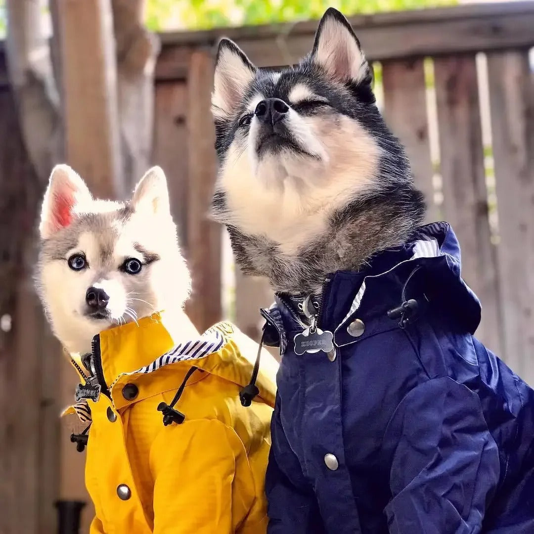 Waterdichte Regenjas met Kap voor Honden