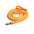 oranje pvc hondenriem