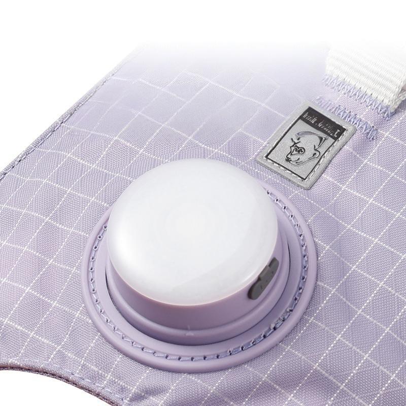 Truelove - Hondentuigje met LED Verlichting