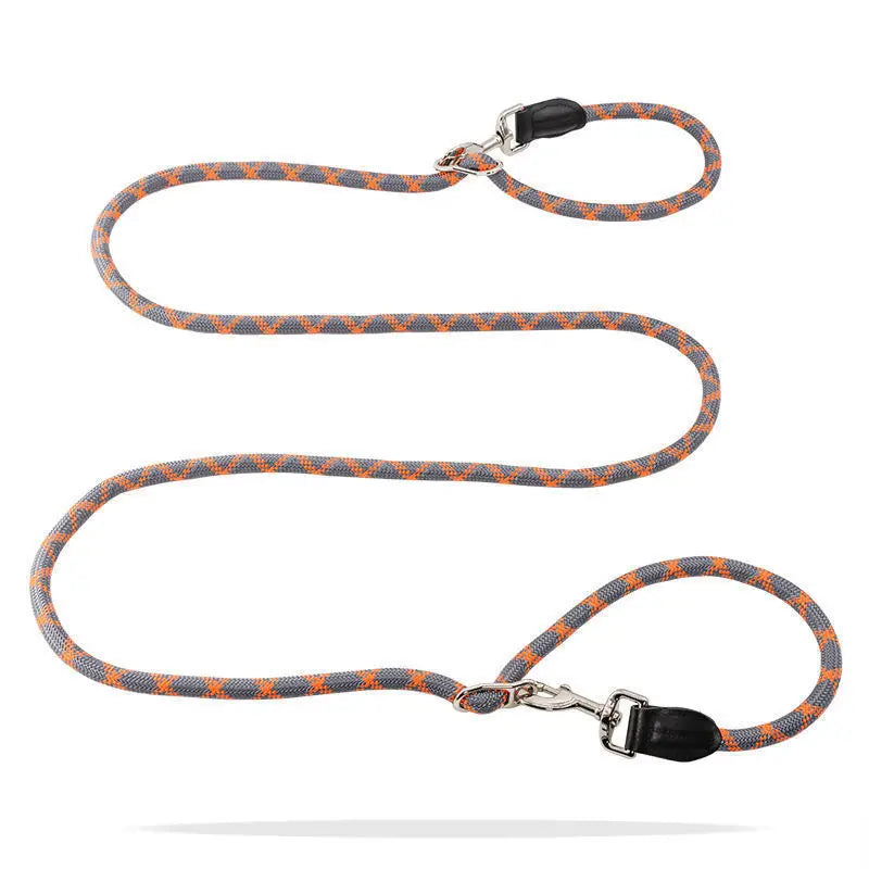 Oranje DreamPawz handsfree hondenriem 2,6 meter