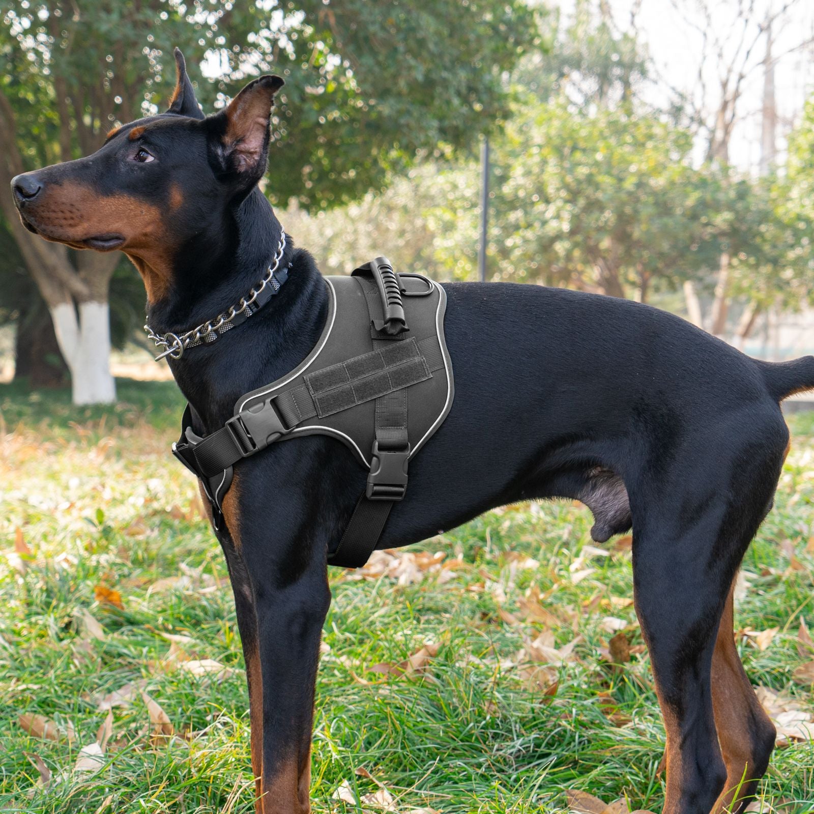 Tactical Hondentuigje - Reflecterend & Extra Controle